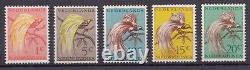 Complete collection Netherlands New Guinea 1950-1962 MNH incl. Post Due & UNTEA