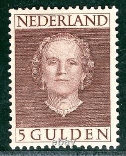 NETHERLANDS High Value 5g Queen Juliana (1949) Mint MNH UM samwellsGOLD183