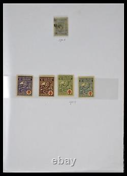 Collection de timbres Lot 38786 Pays-Bas tuberculose 1906-2006 dans 2 albums