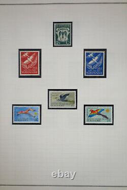 Collection de timbres néerlandais charmants et propres